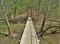 Suspension Bridge in Eno River State Park